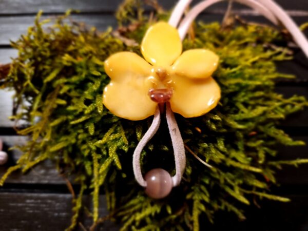 Ascocenda orkidea-kaulakoru, vaalean keltainen